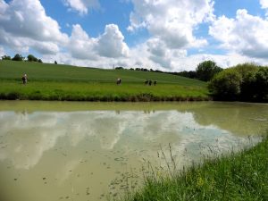 Le ciel et les nuages