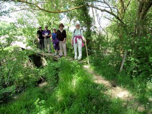 sur le petit pont