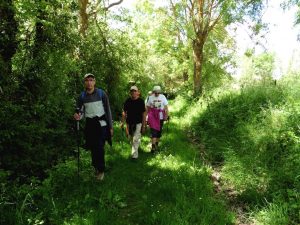 sur le sentier