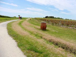 chemin côtier gironde