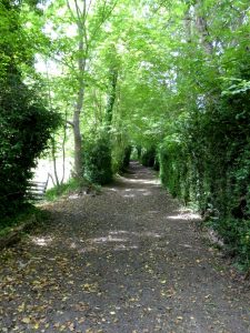 sentier de buis