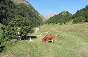 Le val d'Arizes