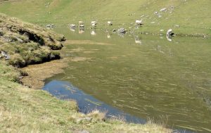 lac d'ARIZES