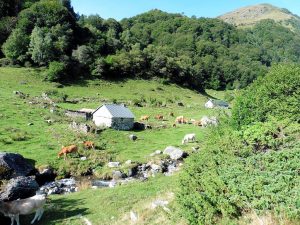 les cabanes de tramezaygues