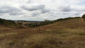 20161013_152954