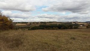 20161013_153102