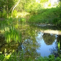 Le  jardin naturel d’ANNE