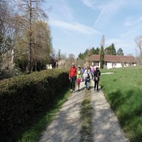 Marche à Aubiet 24 mars