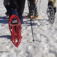 sortie raquettes du 20 février