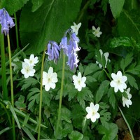 Atelier Nature et Jardin