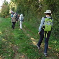 Marche du jeudi 12 octobre