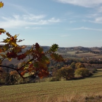 Marche à ROQUELAURE