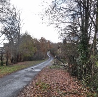 Sur les chemins auscitains