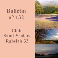 Bulletin n° 132