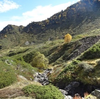 Vallon d’AULOUEILH