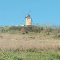 Marche à Durban