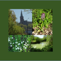 Marche de printemps à AUBIET