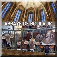 Sortie Abbaye de Boulaur 18 octobre 2023