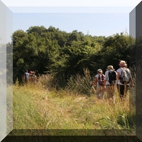 Marche à la journée Marsan 19 juin 2025