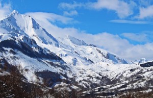 IMG_0659 (Copier) 