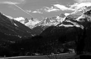 IMG_0804 (Copier) 