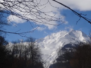 Vallée d'Aspe  Mars 2018 (49)          