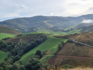 20210928_102456 (Copier)         