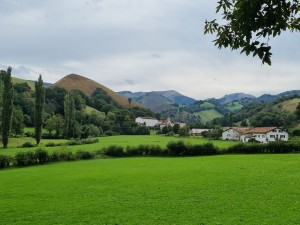 20210928_132943 (Copier)