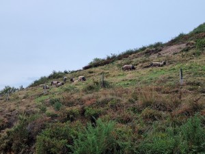 20210928_152943 (Copier)