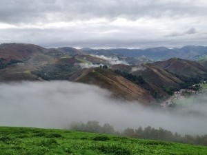 20210929_101051         