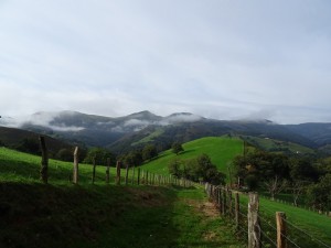 DSC01733 (Copier)