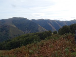 DSC01748 (Copier)         