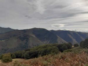 IMG-20210928-WA0008         