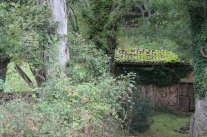 IMG_0639 (Copier)         