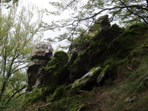 DSC01717 (Copier)  