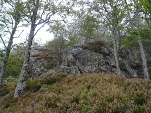 DSC01722 (Copier)  