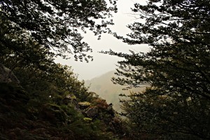 IMG_7907  