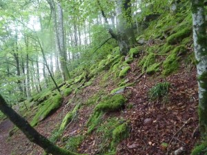 Les Aldudes (48)  