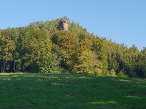 20180918_103525 (Copier)