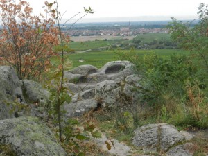 DSCN2673 (Copier)