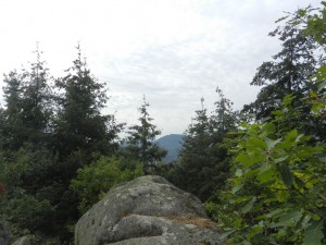 DSCN2686 (Copier)