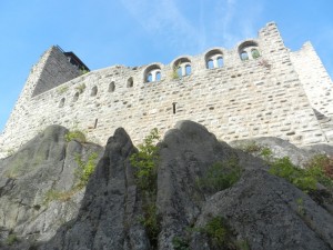 DSCN2695 (Copier)
