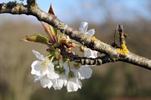 IMG_0032