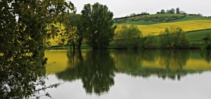IMG_0728