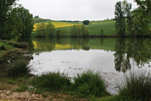 IMG_0733