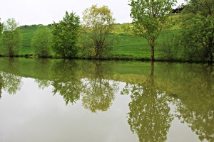 IMG_0737