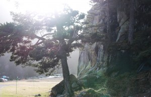 IMG_9568 - Copie 