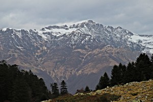 IMG_9619 - Copie 