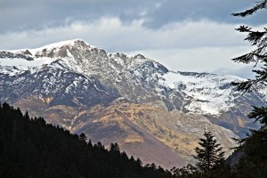 IMG_9636 - Copie 