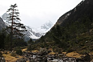 IMG_9642 - Copie 